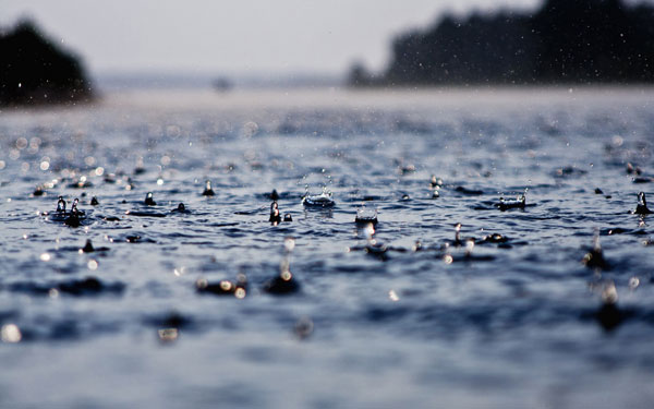 还敢不敢淋雨了