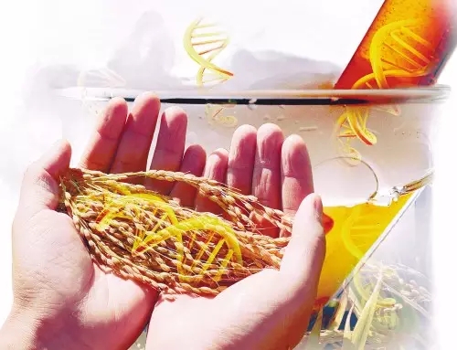 流言榜8 (1)