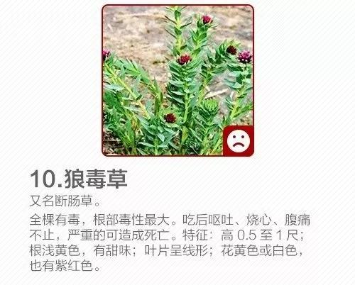 微信图片_20190428092308.jpg