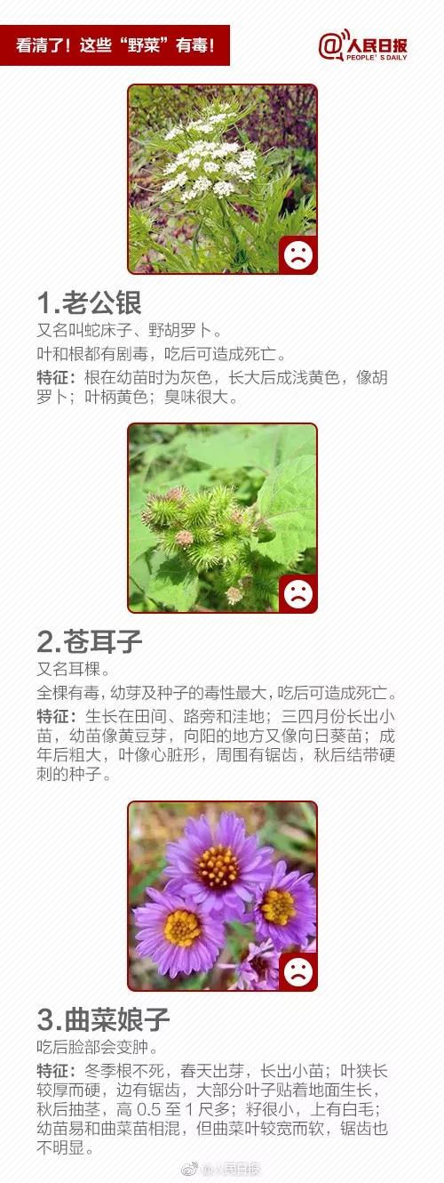 微信图片_20190428092210.jpg