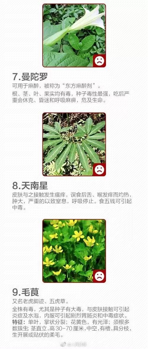 微信图片_20190428092253.jpg