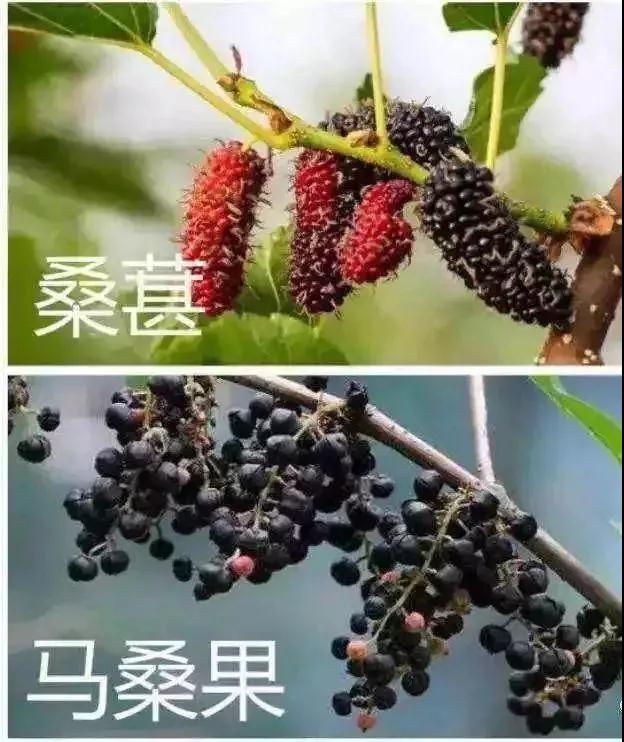 微信图片_20190428092136.jpg
