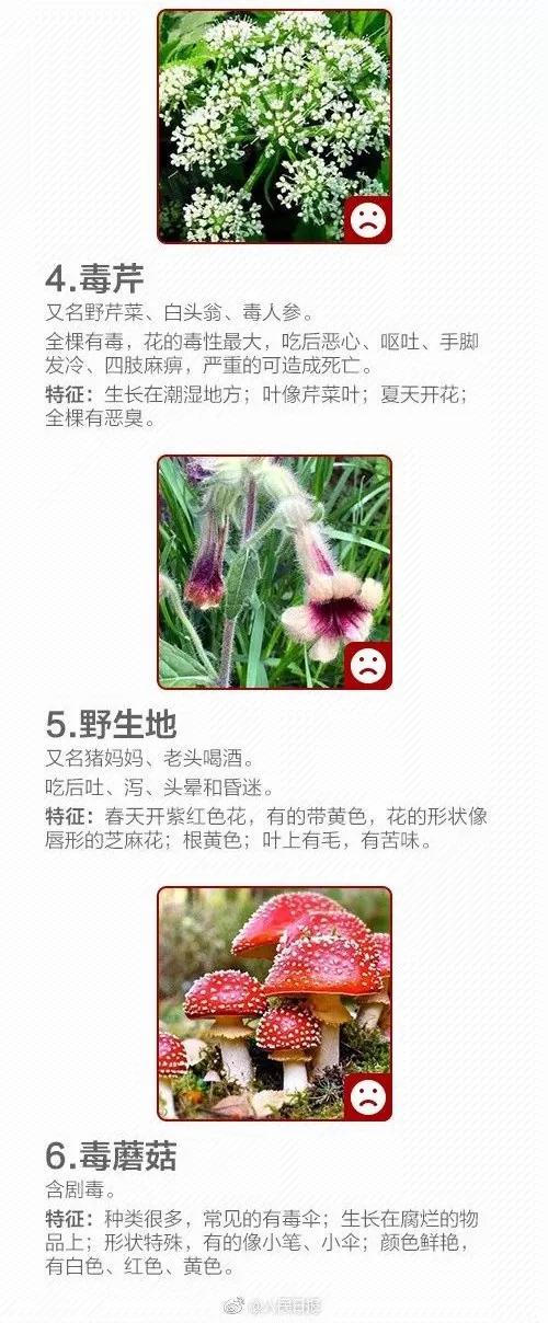 微信图片_20190428092236.jpg