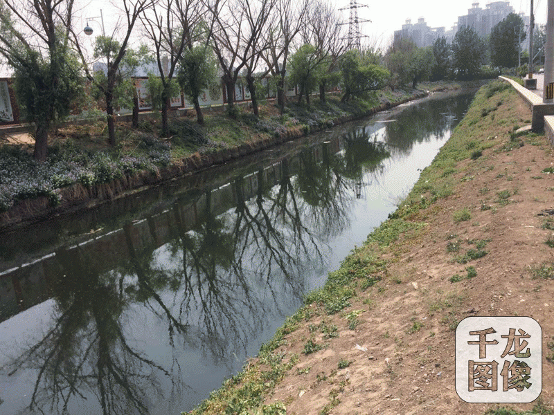 从北京通州区梨园南街开始，玉带河就成了一条明渠，2017年5月2日下午，记者现场目测玉带河的河水仍然是黑色的，这条河蜿蜒曲折流经华业东方玫瑰、金隅自由筑、花石匠、华远铭悦等社区。图为玉带河明渠段的河水呈现黑色。千龙网记者 于振华摄
