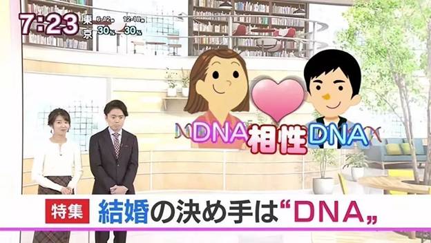 日本新闻报道的dna相亲测试（nhk电视台）